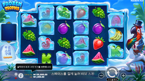 와일드 비치 파티
