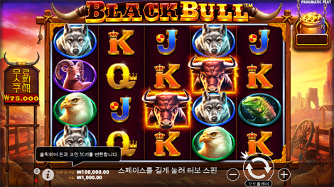 비거 배스 보난자